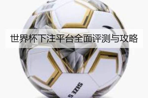 世界杯下注平台全面评测与攻略