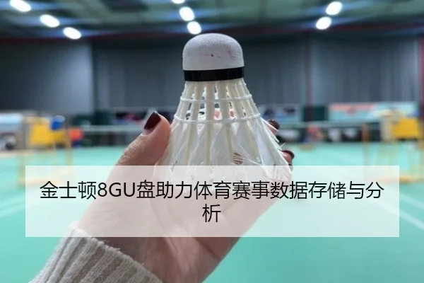 金士顿8GU盘助力体育赛事数据存储与分析